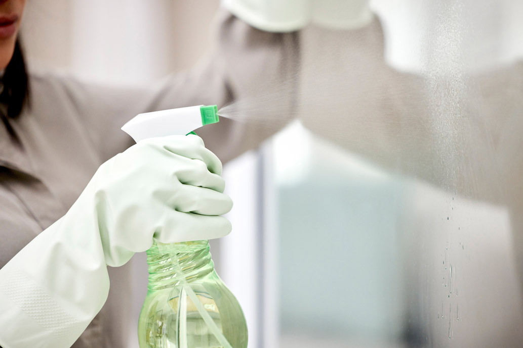 Green Cleaning Tips: Eco-Friendly Solutions for a Healthier Home